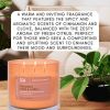 Cinnamon Clove Citrus 3-Wick Candle | Natural Soy Wax Candle for Home, 15.8 Oz