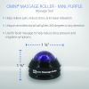 Omni Massage Mini Roller